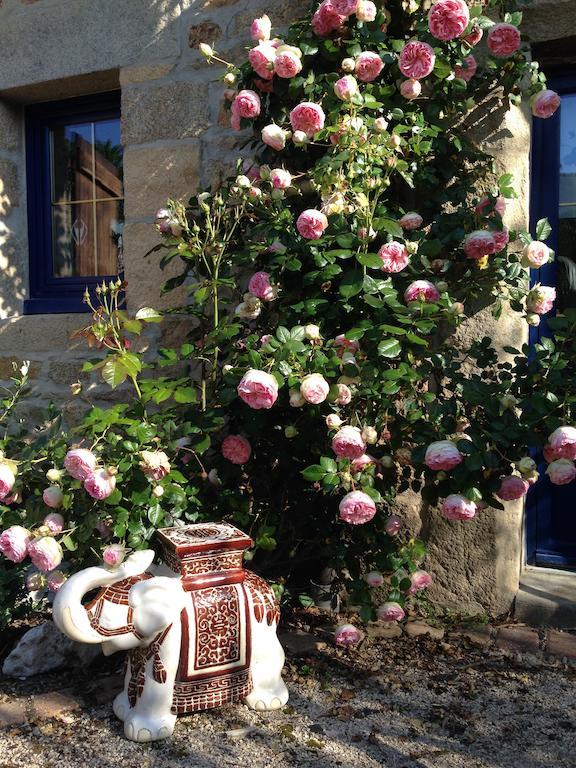 Le Domaine De Saint-Thomin Bed and Breakfast Nostang Buitenkant foto