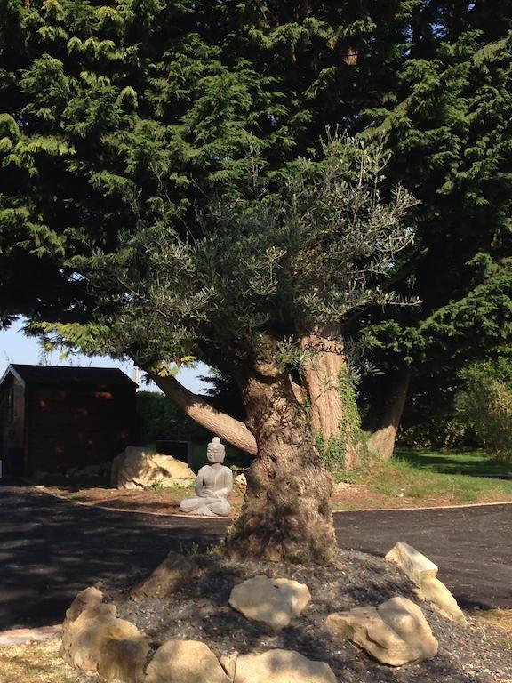 Le Domaine De Saint-Thomin Bed and Breakfast Nostang Buitenkant foto